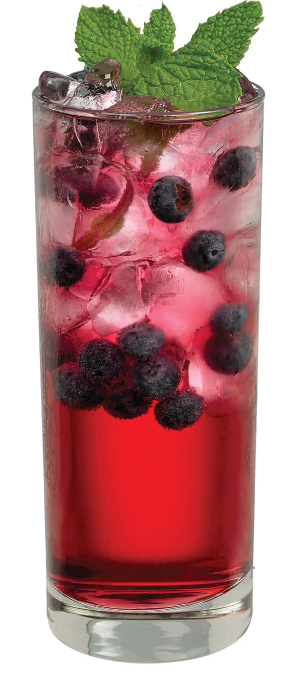 The blueberry mojito recipe is shown in a tall glass with blue liquid, ice, and blueberries.